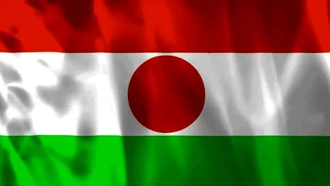 A high quality fabric texture of the national flag of Niger waving in the l.. Video stock 343581602
