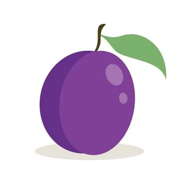 A high-quality flat vector illustration of a ripe purple plum. The fruit 库存插图