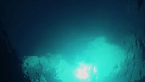 High quality Stock Footage 83267654