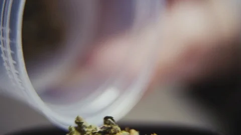 High Quality Marijuana Dumped From Jar Macro Stock Footage 71944876