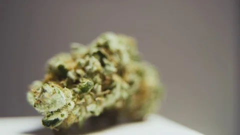 High Quality Marijuana Rotating Macro 14 Stock Footage 71943145