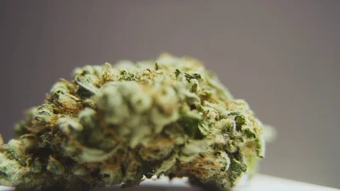 High Quality Marijuana Rotating Macro 13 Stock Footage 71943391