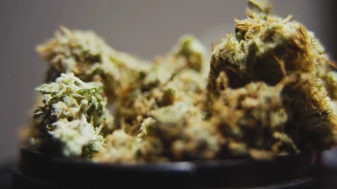High Quality Marijuana Rotating Macro 9 Stock Footage 71943501