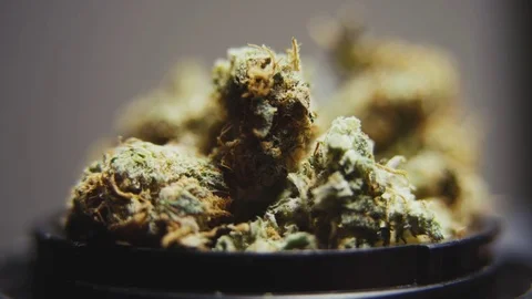 High Quality Marijuana Rotating Macro 10 Stock Footage 71943562