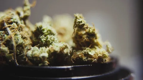 High Quality Marijuana Rotating Macro 12 Stock Footage 71943975
