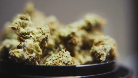 High Quality Marijuana Rotating Macro 11 Stock Footage 71944092