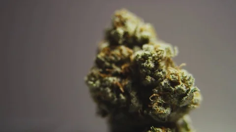 High Quality Marijuana Rotating Macro 5 Stock Footage 71944538