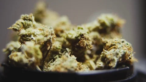 High Quality Marijuana Rotating Macro 7 Video stock 71944613