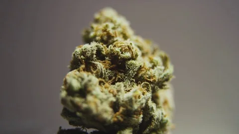 High Quality Marijuana Rotating Macro 2 Stock Footage 71944707