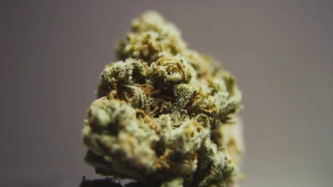 High Quality Marijuana Rotating Macro 4 Stock Footage 71945055