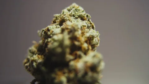 High Quality Marijuana Rotating Macro 3 Stock Footage 71945254