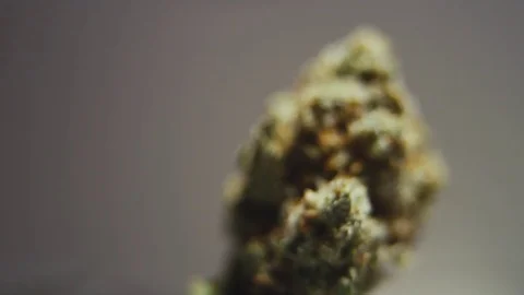 High Quality Marijuana Rotating Macro 1 Stockbeeldmateriaal 71946544