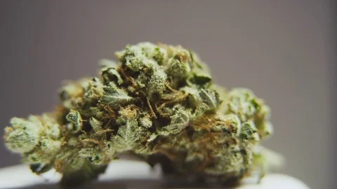 High Quality Marijuana Rotating Macro 15 Stock Footage 79177320