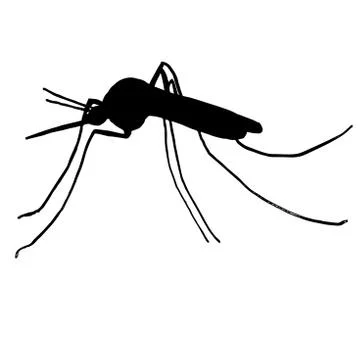 High quality mosquito Stock Illustration
