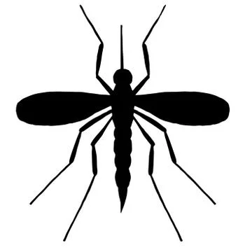 High quality mosquito Stock Illustration