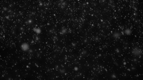 High quality motion animation falling snowflakes on a black background Stock Footage 117994691