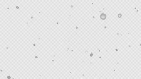 High quality motion animation representing snow. Snowing footage. Video stock 205889353