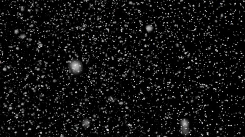 High quality motion animation snow falling animated on a black background 스톡 동영상 117430809