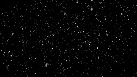 High quality motion animation snow falling on black background. Stock Footage 120993106