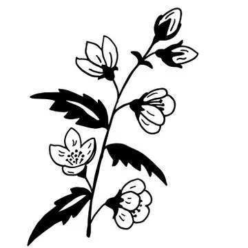 High quality original illustration of spring flower for decor,po Illustrazione stock