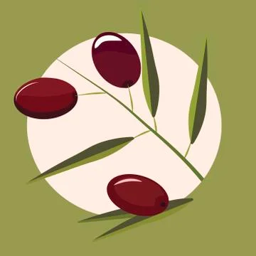High quality original trendy vector olive branch Stock Illustration