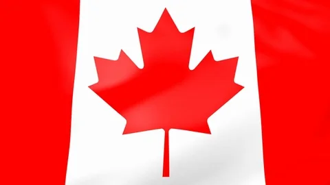 High-Quality Realistic flag of Canada waving in the wind Stock-Footage 78503049