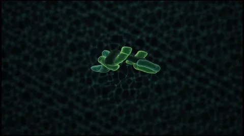 High Quality Render of Bacteria Under the Microscope Video stock 61100724