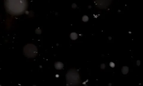 High Quality Seamless Texture Background Video for Visual Stock Footage 303205568