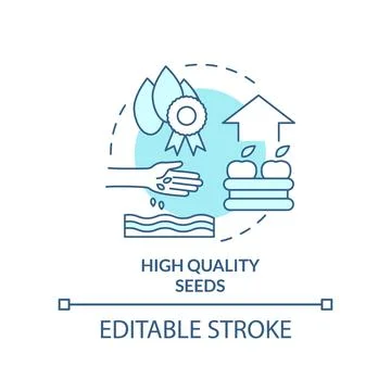 High quality seeds turquoise concept icon Stock Illustration