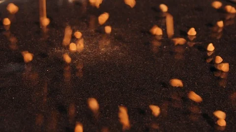 High-quality selected buckwheat is sprinkled on a dish for cooking 스톡 동영상 127161416