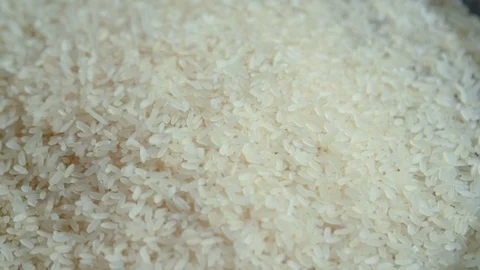 High-quality selected rice sprinkled for harvesting vegetarian food Vídeo Stock 127521838