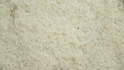 High-quality selected rice sprinkled for harvesting vegetarian food Vídeo Stock 127522341