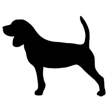 High quality silhouette of beagle Stock Illustration