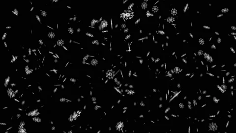 High Quality SnowFlakes Explosion on Chroma Key Stock Footage 143275349