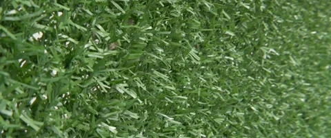 High quality texture of green plastic hedge anamorphic 5.7K video Stock Footage 303840250