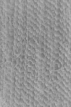 High quality texture of a light gray textile. Stock Photos