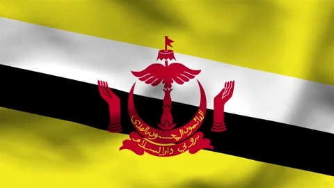 High-quality top-down view of the Brunei flag on wavy cloth. Features a yello Stock Footage 335161303