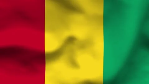 High-quality top-down view of the Guinea flag on wavy cloth. Features vertica Stock Footage 335161496