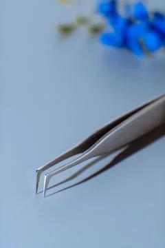 High-quality tweezers with sharp tip, using for fake eyelash extension proc.. Stock Photos