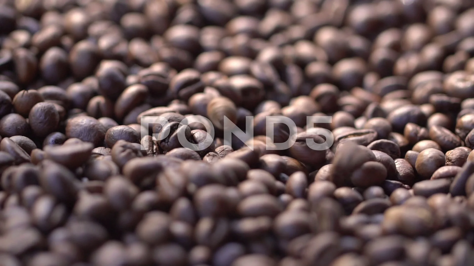 High Quality Video Of Falling Coffee Beans In Real 1080p Slow Images, Photos, Reviews