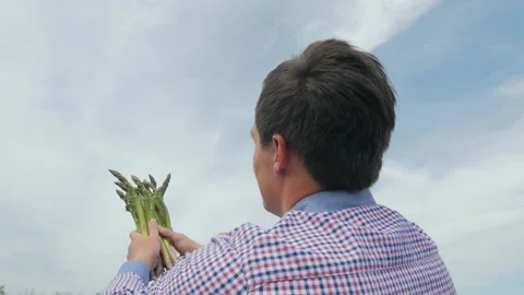 High quality video of hands holding asparagus in real 1080p slow motion 250fps 動画素材 130404752