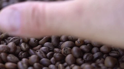 High quality video of taking coffee beans in real 1080p slow motion 120fps. Video stock 109599019