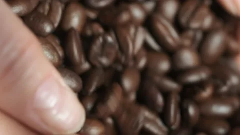 High quality video of taking coffee beans in real 1080p slow motion Stock Footage 152862057