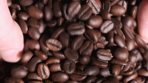 High quality video of taking coffee beans in real 1080p slow motion Stock Footage 154070442