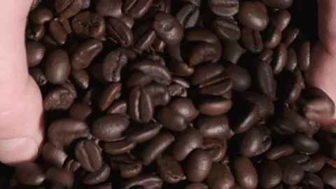 High quality video of taking coffee beans in real 1080p slow motion Stock Footage 154070505