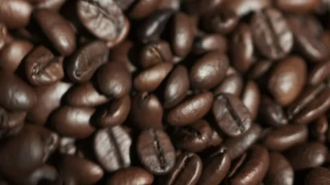 High quality video of taking coffee beans in real 1080p slow motion Stock Footage 154070552