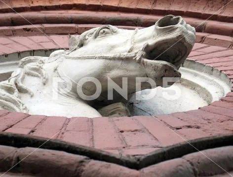 High relief in the form of a horse's head on a brick wall Stock Photos