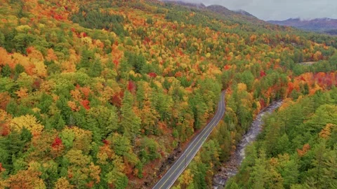 High-resolution 4K drone footage of an autumn forest with a road meandering thro Stock Footage 304239935
