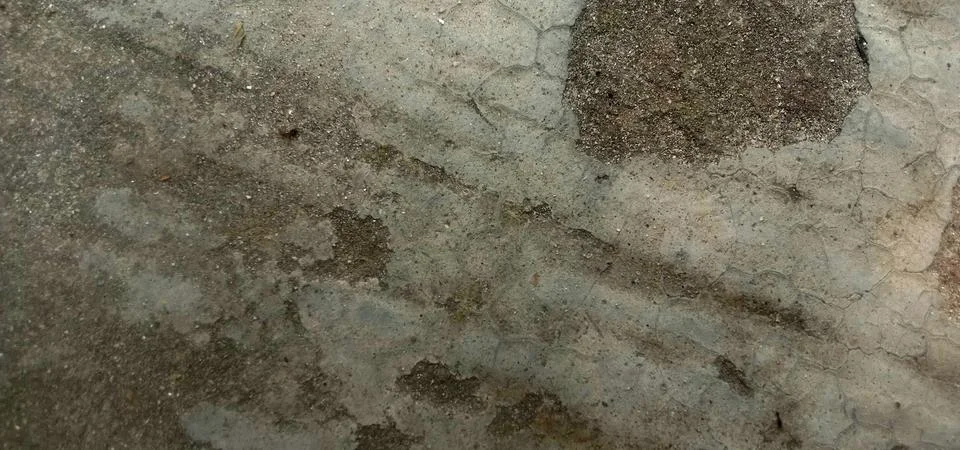 High-resolution background image featuring a natural stone surface Illustrazione stock