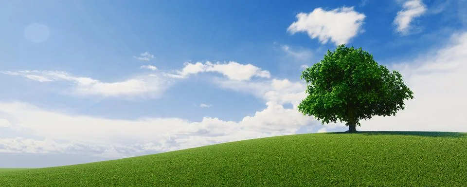 High resolution banner. A tree standing alone in a lawn. 3d rendering Stock Illustration
